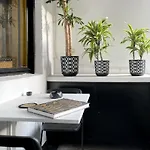 Charming In The Heart Of